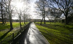 Peckham Rye Park Wallpaper