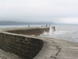 Lyme Regis Cobb - June 2003 Wallpaper