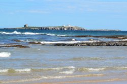 Farne Islands Wallpaper