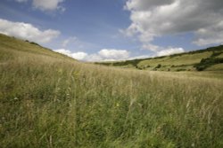 The South Downs Wallpaper