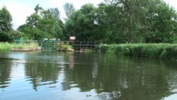 River Wey Wallpaper