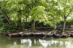 Row Boats on River Wey – Guildford. Wallpaper