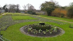 Beckenham Place Park Garden Wallpaper