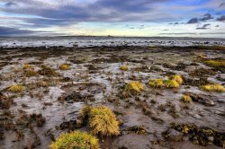 Holy Island, Northumberland Wallpaper