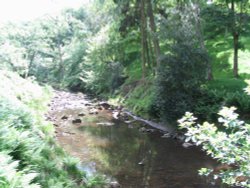 Beck Hole - Riverbed Path to Thomason Foss Wallpaper