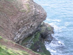 Filey Brigg - Promontory Wallpaper