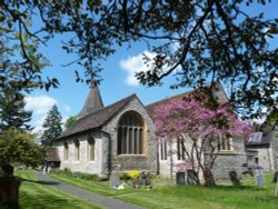 Blossom Time in Bookham Wallpaper