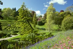 Glendurgan Gardens Maze Wallpaper