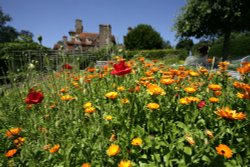 Standen National Trust Gardens Wallpaper