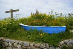 Plants Boat Wallpaper