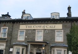 Cow and Calf Pub Wallpaper