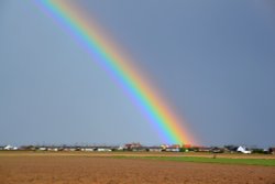 Norfolk rainbow Wallpaper