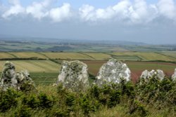 Bolberry country view