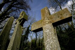 Nunhead Cemetery Wallpaper