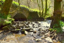 River Yeo