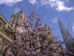 Southwark Cathedral SE1 Wallpaper