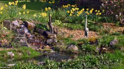 Stour Valley Spring, Shillingstone Wallpaper