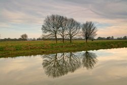 Ferry Meadows Country Park Wallpaper