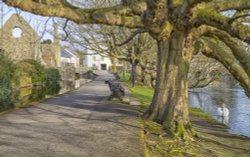 Convent Walk at Christchurch