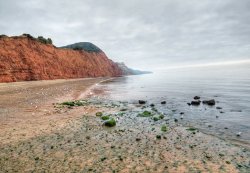Sidmouth Cliffs and Beach Wallpaper