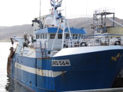 Artemis Prawn Trawler, Ullapool Wallpaper