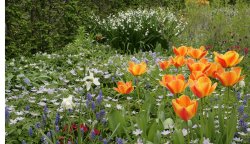 Colours at Sissinghurst Wallpaper