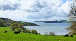 Looking towards Pendennis Castle from Trelissick House Wallpaper