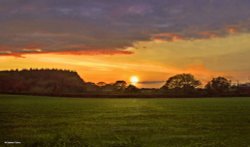 Stour Valley Spring, Shillingstone. Wallpaper