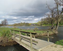 The Thames at Henley, up river from Henley Wallpaper