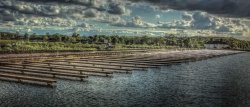 Bosworth Marina Wallpaper