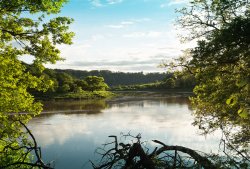 Incoming Tide, River Wye, Chepstow. Wallpaper