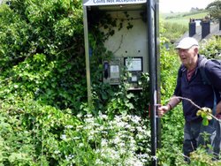 Osmington Mills Wallpaper