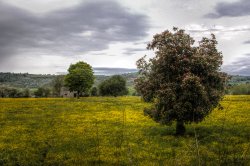 Monsal Trail Wallpaper