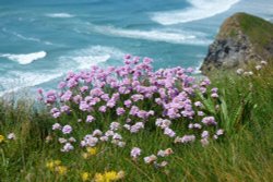 Bedruthan Steps, Newquay Wallpaper