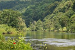 River Wye above Bigsweir Bridge, Whitebrook. Wallpaper