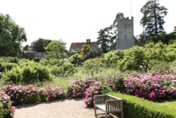 The Gardens at Greys Court