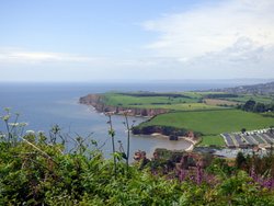 Sidmouth Wallpaper