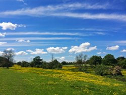 Fields near Malvern Park,Solihull 2 Wallpaper