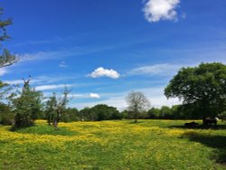 Fields near Malvern Park,Solihull 3 Wallpaper