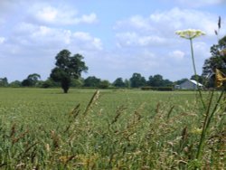 Farmland, Bilton Wallpaper