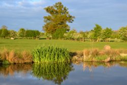 Canal evening walk Wallpaper