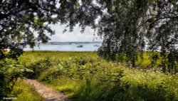 Arne RSPB Reserve, Dorset. Wallpaper