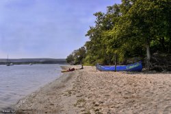 Arne RSPB Reserve, Dorset. Wallpaper