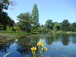 Lake, Kew Gardens Wallpaper