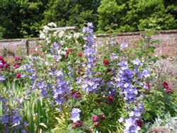 Mottisfont Abbey Wallpaper