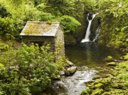 The Grot, Rydal Park Wallpaper