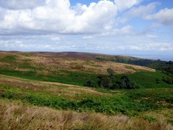 Quantock Hills Wallpaper