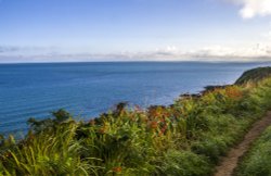 The Coast Path near Nefyn Wallpaper