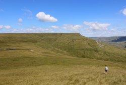 Wild Boar Fell from Swarth Fell, Mallerstang, Cumbria Wallpaper