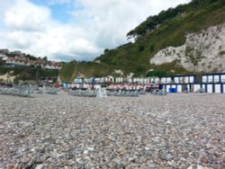 Beach huts on Beer beach Wallpaper